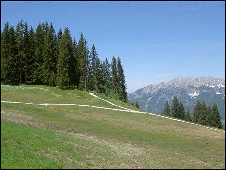 PICT9656.JPG