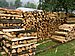 PICT0538.JPG