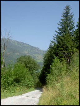 PICT4517.JPG