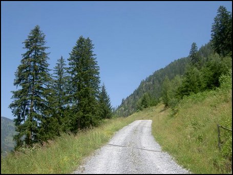 PICT4539.JPG