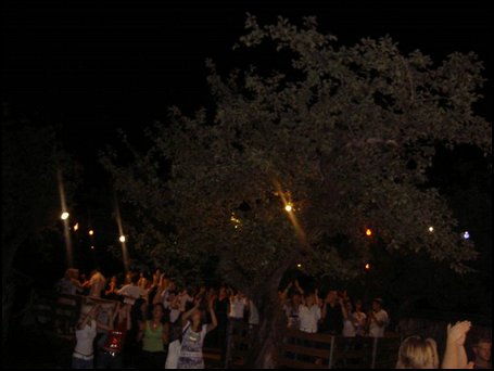 PICT4683.JPG