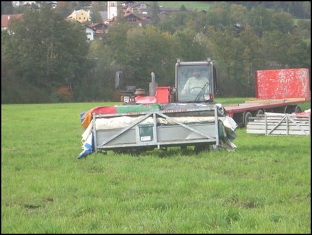 aKleintiermarkt 088.jpg