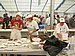 Grubertaler Fest 122.jpg
