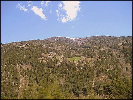 IMG_5185.JPG