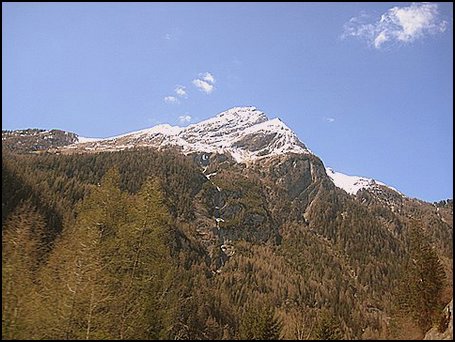 IMG_5188.JPG