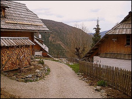 IMG_5535.JPG