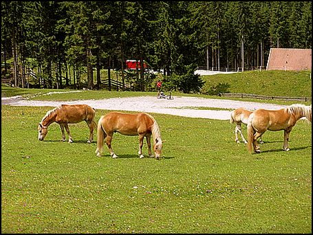 IMG_1401.JPG