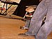 IMG_7953.JPG