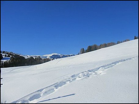 IMG_9278.JPG