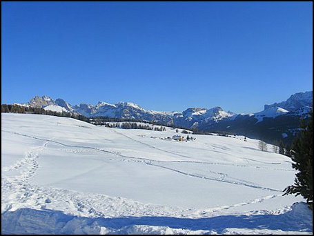 IMG_9279.JPG