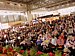 P1010560.JPG