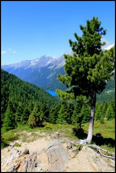 IMG_0195.JPG