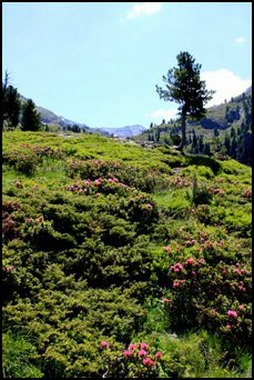 IMG_0280.JPG